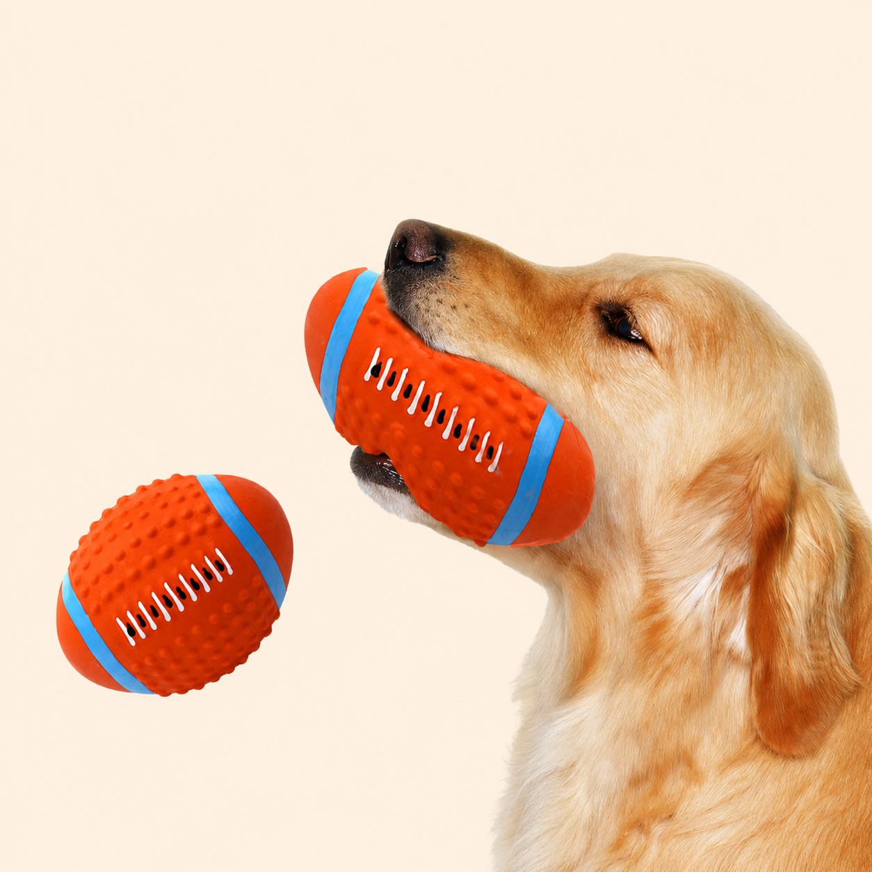 Squeaky Chew Toy