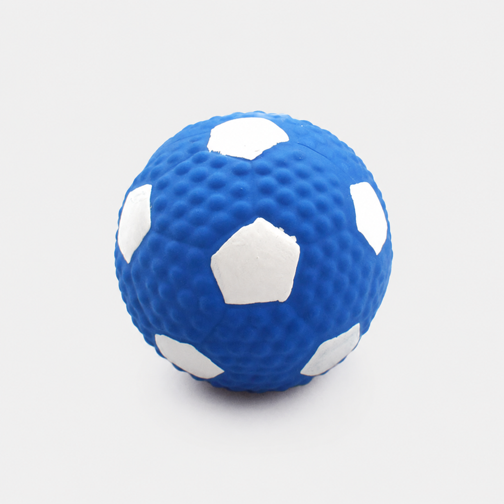 Squeaky Chew Toy