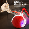 Interactive Rolling Dog Ball