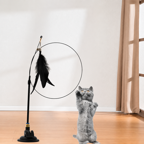 Cat Feather Teaser Wand