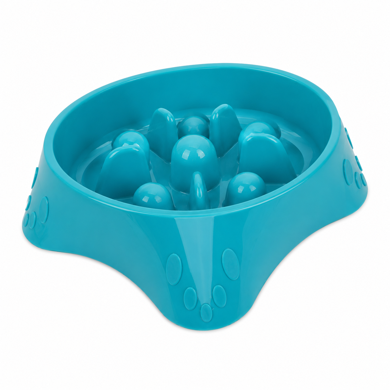 Slow Feeder Dog Bowl