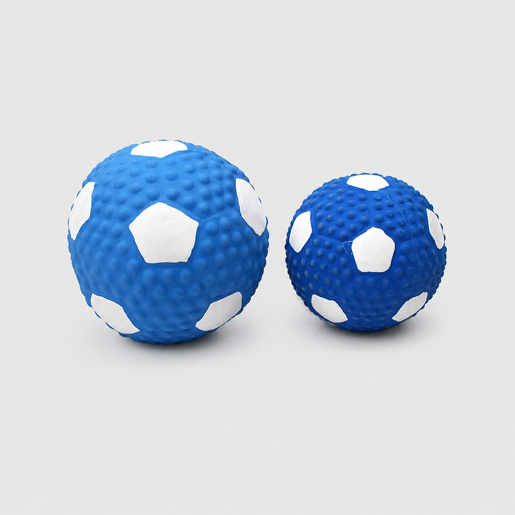 Squeaky Chew Toy